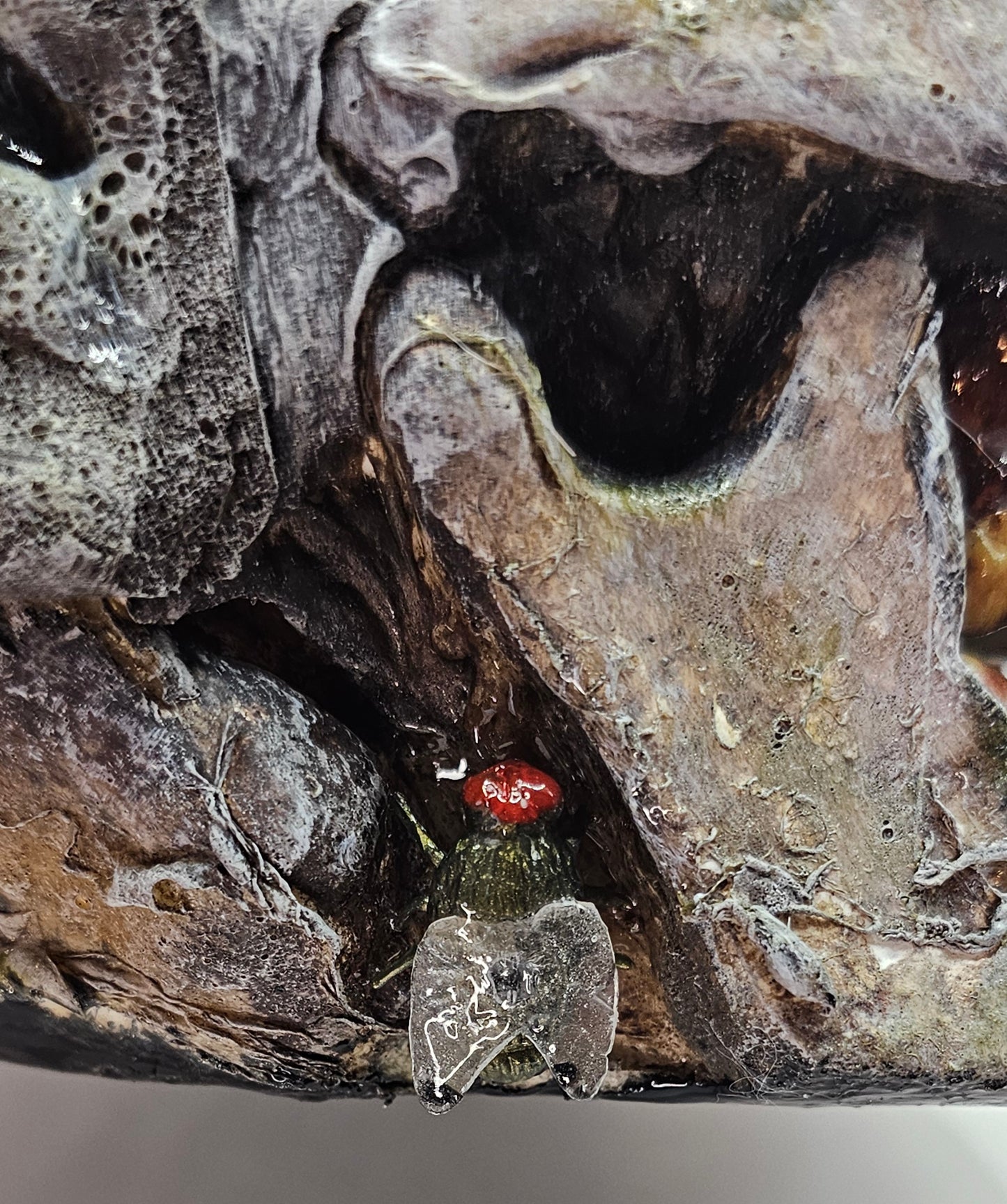 Small red insect on a textured surface