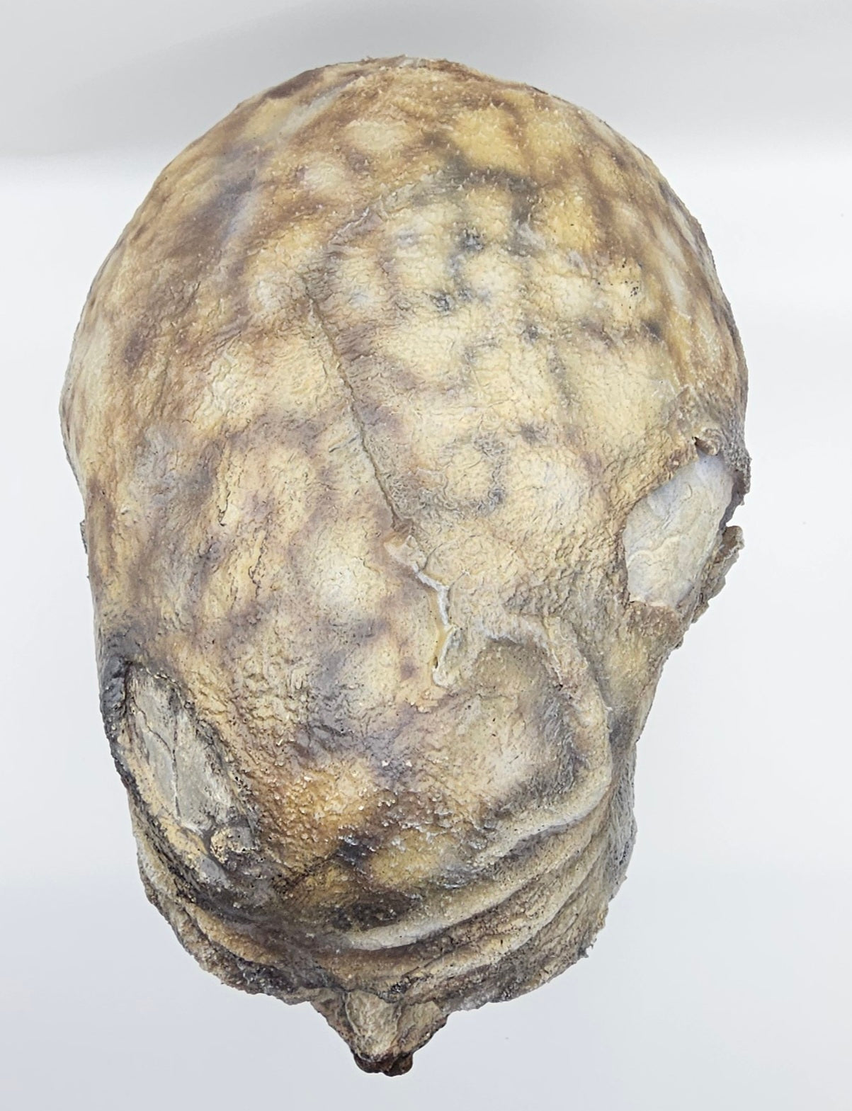 Zombie (Full Head)